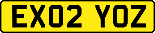 EX02YOZ