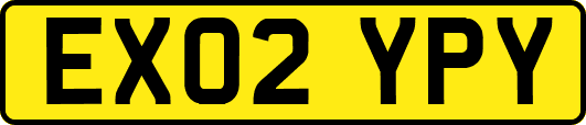 EX02YPY