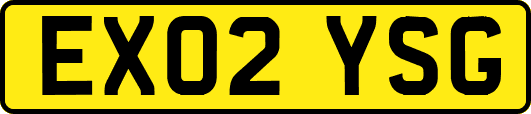 EX02YSG