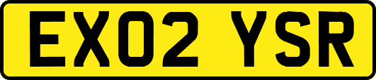 EX02YSR