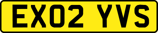 EX02YVS