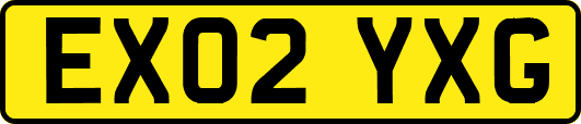 EX02YXG
