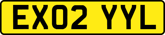 EX02YYL
