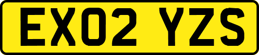 EX02YZS