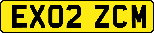 EX02ZCM