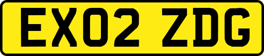 EX02ZDG