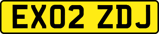 EX02ZDJ