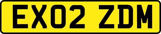 EX02ZDM