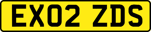 EX02ZDS