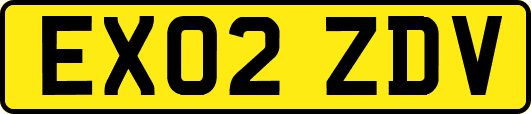 EX02ZDV