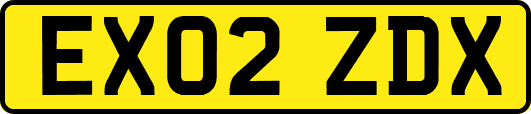 EX02ZDX