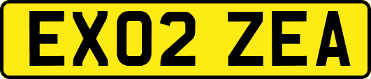 EX02ZEA
