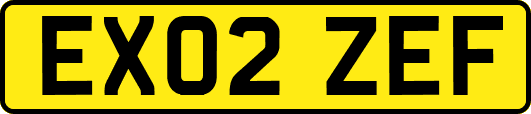 EX02ZEF