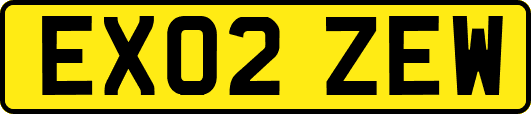 EX02ZEW