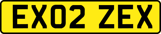 EX02ZEX