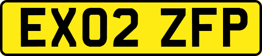 EX02ZFP