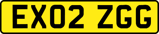 EX02ZGG
