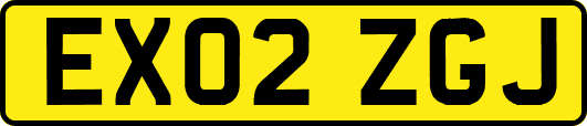 EX02ZGJ