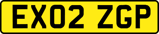 EX02ZGP