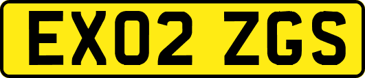 EX02ZGS