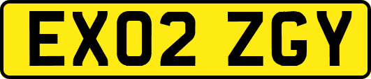 EX02ZGY