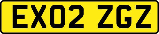 EX02ZGZ