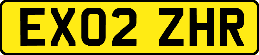 EX02ZHR