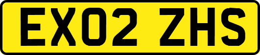 EX02ZHS