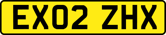 EX02ZHX