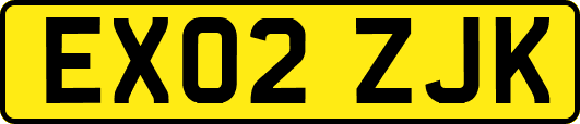 EX02ZJK