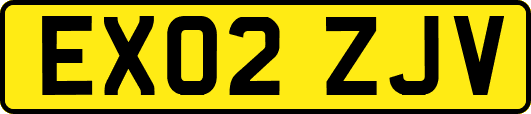 EX02ZJV