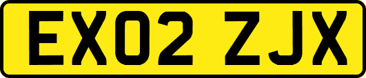 EX02ZJX
