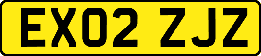 EX02ZJZ