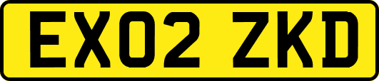 EX02ZKD
