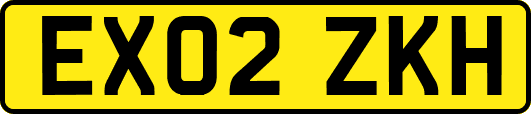 EX02ZKH