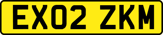 EX02ZKM