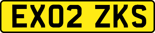 EX02ZKS