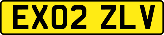 EX02ZLV