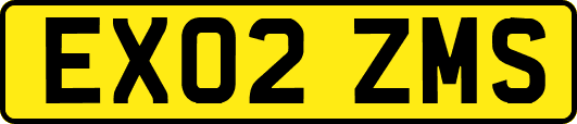 EX02ZMS