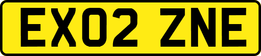 EX02ZNE
