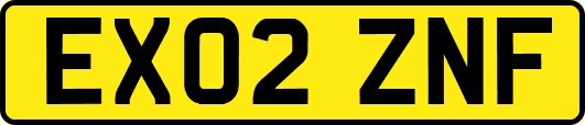 EX02ZNF