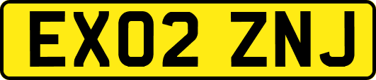 EX02ZNJ