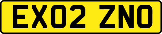 EX02ZNO