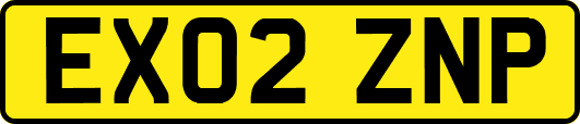 EX02ZNP