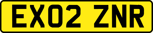 EX02ZNR