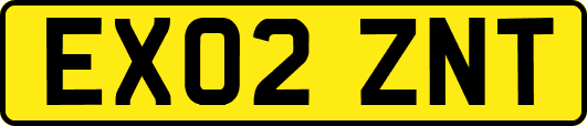 EX02ZNT