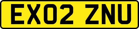 EX02ZNU