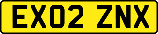 EX02ZNX