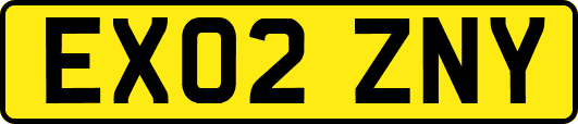 EX02ZNY