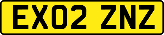 EX02ZNZ
